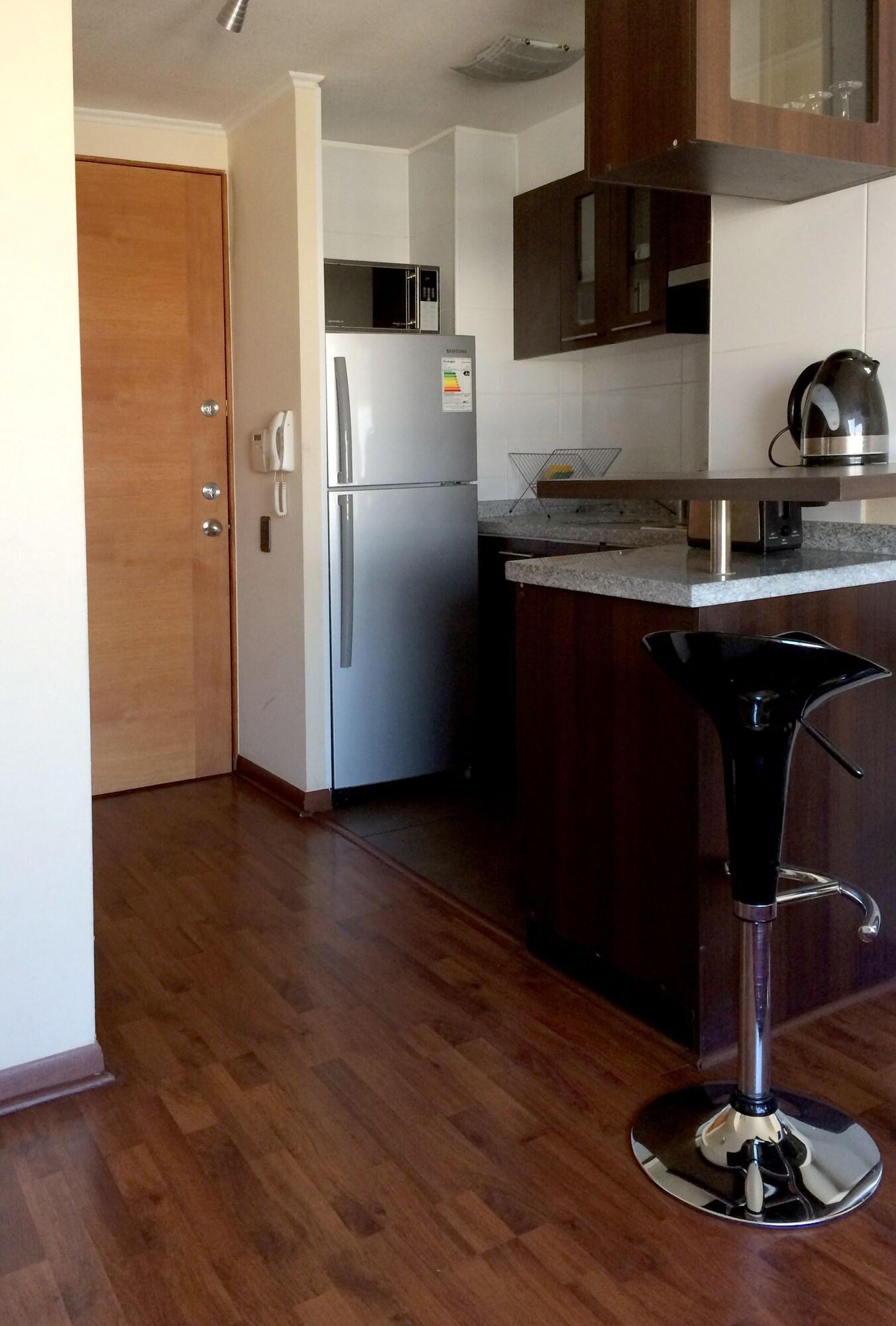 Santiago Furnished Apartments Екстер'єр фото