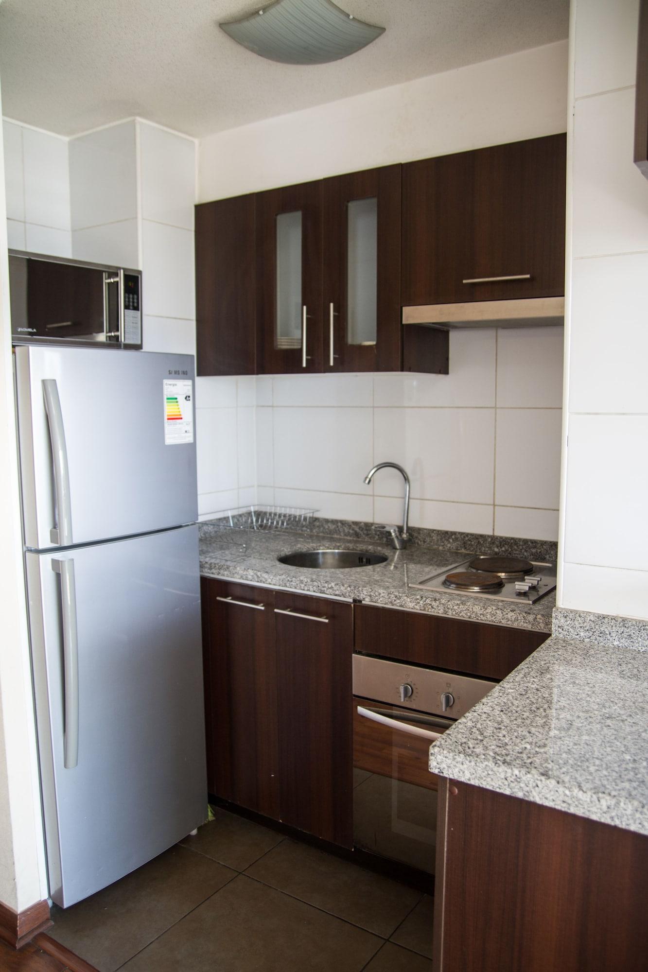 Santiago Furnished Apartments Екстер'єр фото